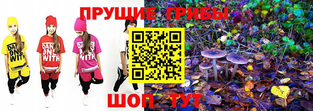 Псилоцибиновые грибы мухоморы Хабаровск