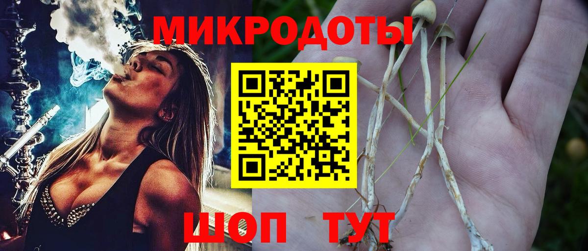 где купить наркотик  Галлюциногенные грибы прущие грибы  Вход с VPN  Хабаровск  Псилоцибиновые грибы Psilocybine cubensis 